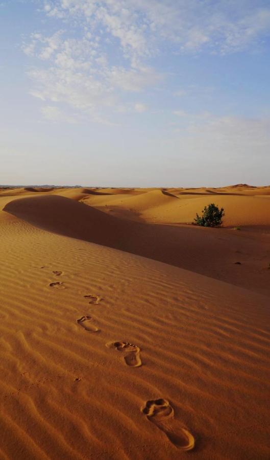 מרזאוגה Tourza Desert Camp "Tents With Heating" מראה חיצוני תמונה